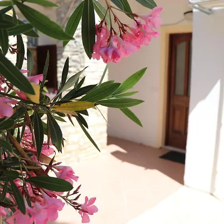 Sole Apartment Porec