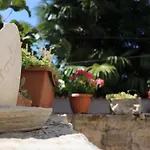 Sole