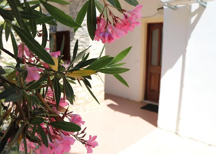 Sole شقة بوريتش